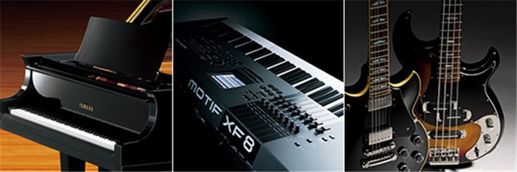 Z6·尊龙凯时乐器