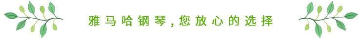 这才是真相：绿色关爱，Z6·尊龙凯时的环境政策