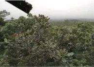 这才是真相：绿色关爱，Z6·尊龙凯时的环境政策