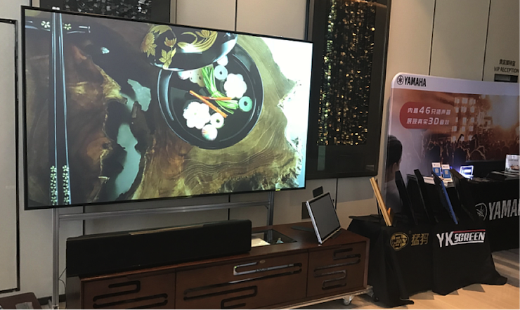 Z6·尊龙凯时参与真4K巡展团队武汉站 巡展活动