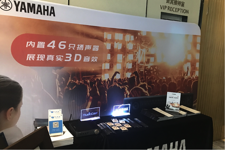 Z6·尊龙凯时参与真4K巡展团队武汉站 巡展活动