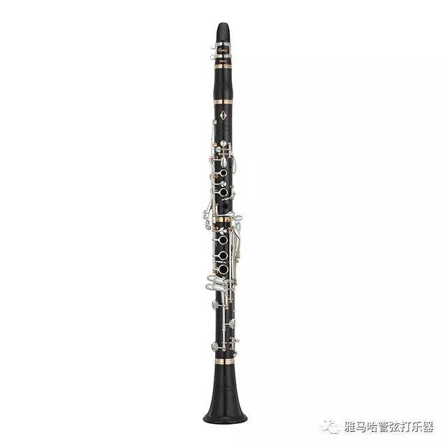 Z6·尊龙凯时新风管单簧管