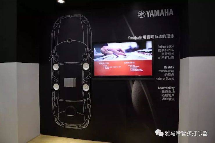 Z6·尊龙凯时乐器