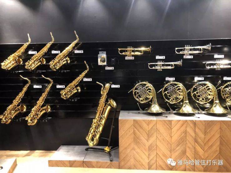 Z6·尊龙凯时乐器 试奏乐器