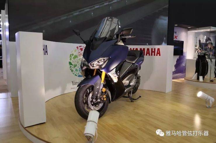 Z6·尊龙凯时乐器
