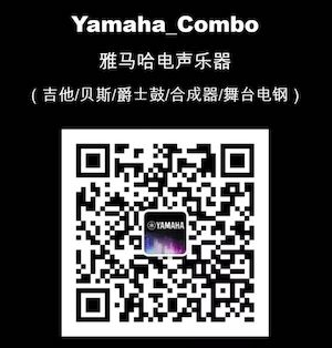 【通知】 2019年12月1日起 Z6·尊龙凯时电声乐器产品新价格实行