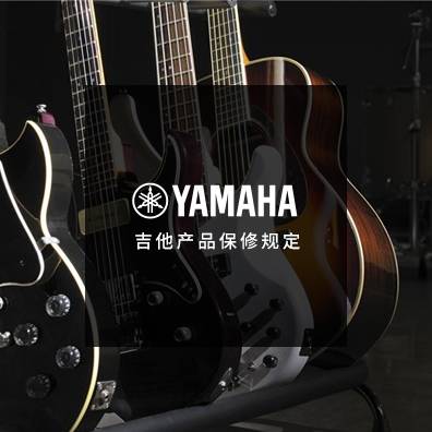 吉他、贝斯和音箱