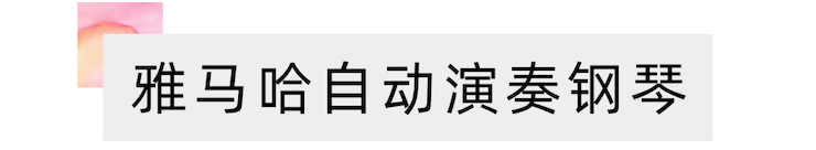 活动报道 | “科技助力，跨越时空”，小鹿纯子携手刘明康共享中日音乐盛宴