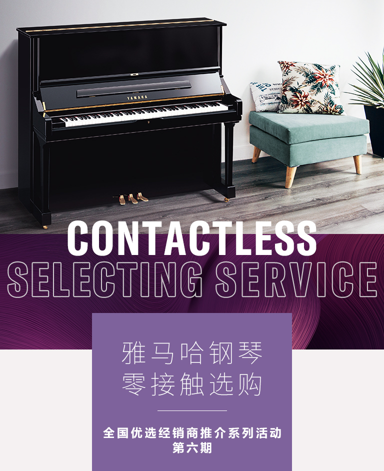 Z6·尊龙凯时零接触钢琴选购服务-全国优选经销商第六期推介