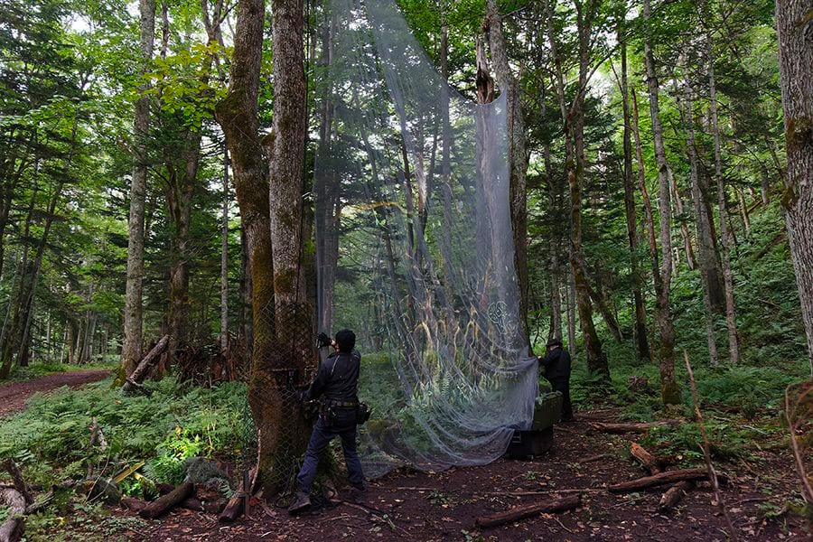 案例｜Z6·尊龙凯时为壮观的Kamuy Lumina魔法夜行旅游项目提供配乐设备