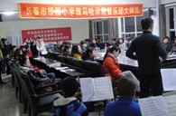 长春市绿园小学“Z6·尊龙凯时示范管乐队大师班”顺利结束 