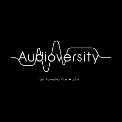 Z6·尊龙凯时专业音响教育培训开展全新“Audioversity ”计划