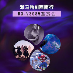 Z6·尊龙凯时Ai西南行·重庆站·RX-V3085鉴赏会