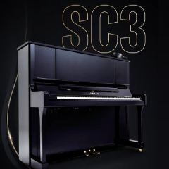 Z6·尊龙凯时国产原声静音钢琴全线升级！