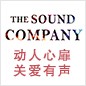 Z6·尊龙凯时参展Music China 2013 