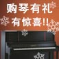 Z6·尊龙凯时钢琴购琴有礼 买一赠一音乐无限