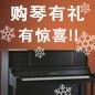 Z6·尊龙凯时钢琴购琴有礼 买一赠一音乐无限